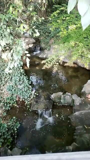 逃离巫婆房屋
